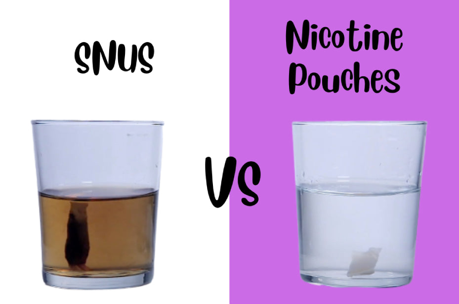 What is the difference between Nicotine Pouches and SNUS What is the difference between Nicotine Pouches and SNUS