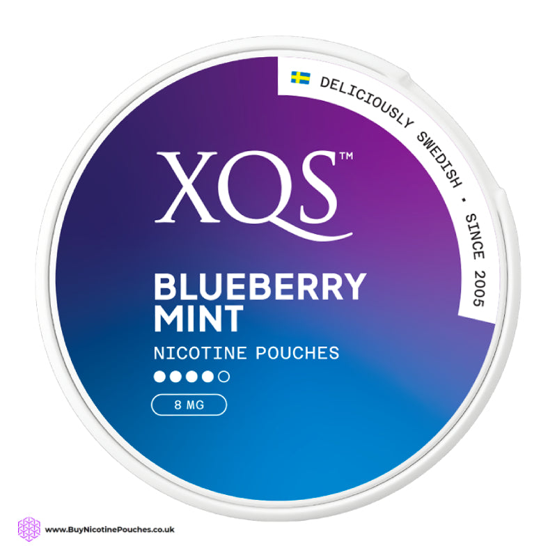 Blueberry Mint Nicotine Pouches by XQS 8MG