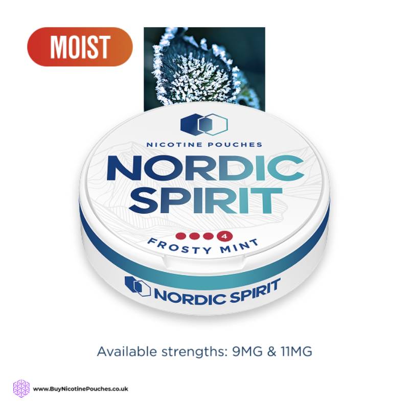 Frosty Mint Nicotine Pouches by Nordic Spirit 4Dot