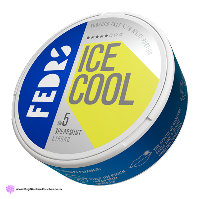 Ice Cool Spearmint Nicotine Pouches by FEDRS 30MG