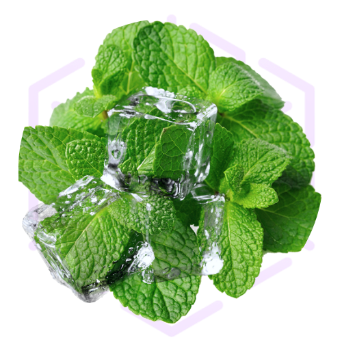 Mint Flavour 1