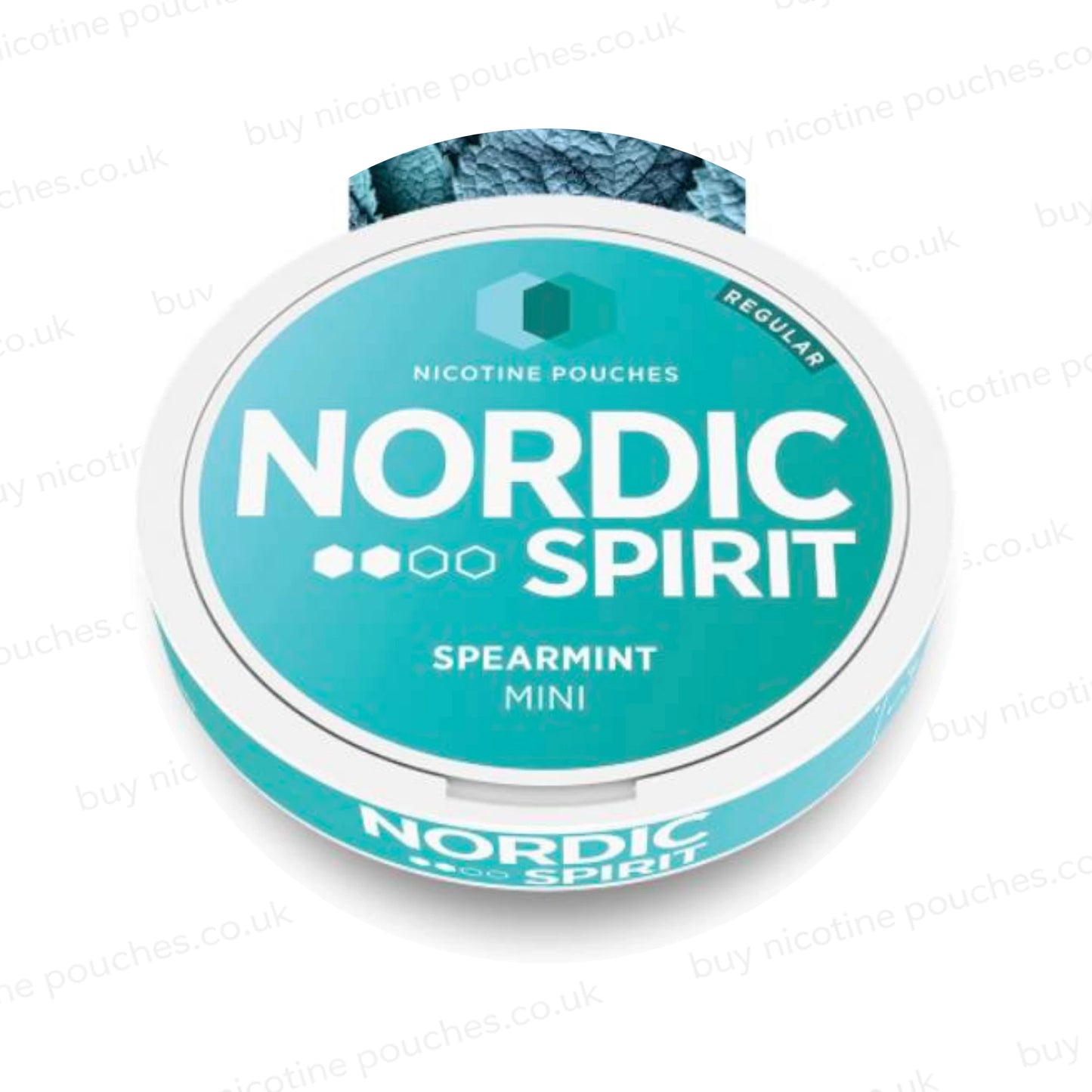 Spearmint Nicotine Pouches by Nordic Spirit