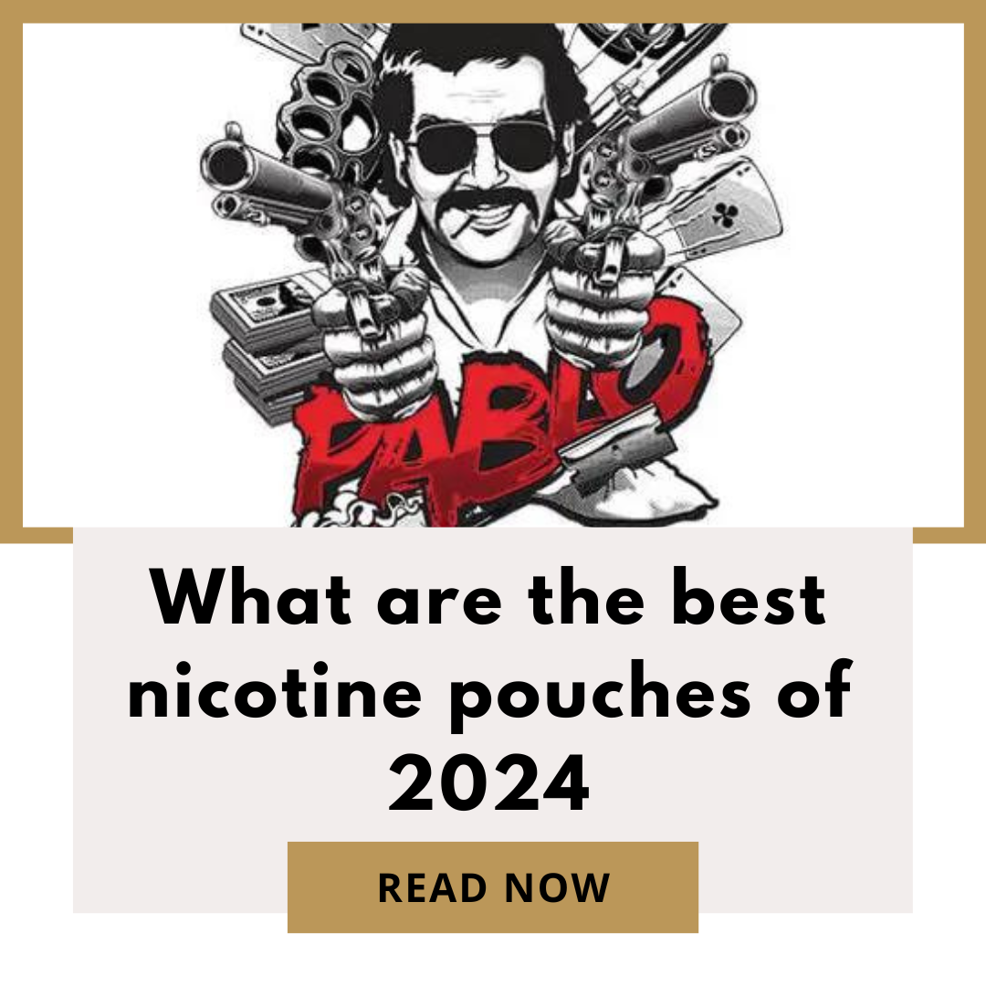 What are the best nicotine pouches of 2024