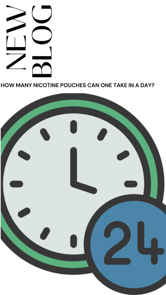 How many nicotine pouches can one take in a day?