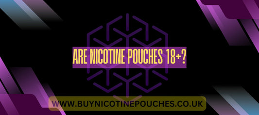 Are nicotine pouches 18+