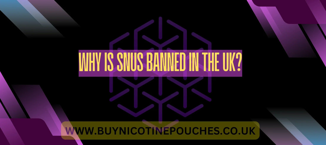 Why is Snus banned in the UK?