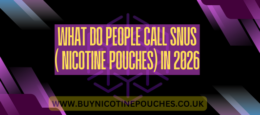 What do people call Snus( Nicotine Pouches) in 2026