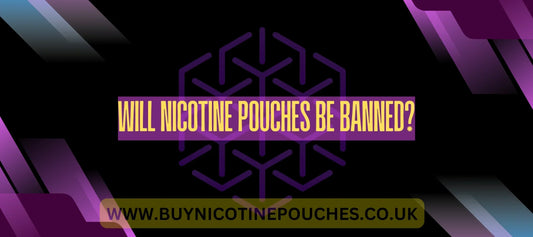Will Nicotine Pouches Be Banned?