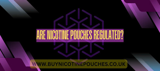 Are Nicotine Pouches regulated?