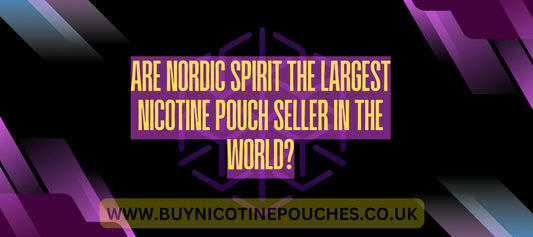 Are Nordic Spirit the largest nicotine pouch seller in the world?