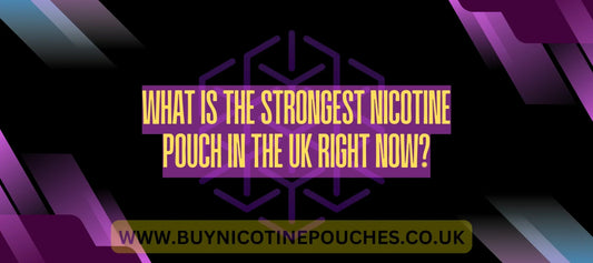 What Is the Strongest Nicotine Pouch in the UK Right Now?