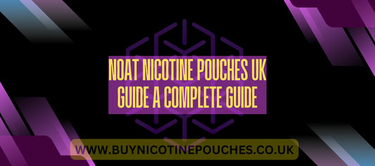 NOAT Nicotine Pouches UK Guide A Complete Guide