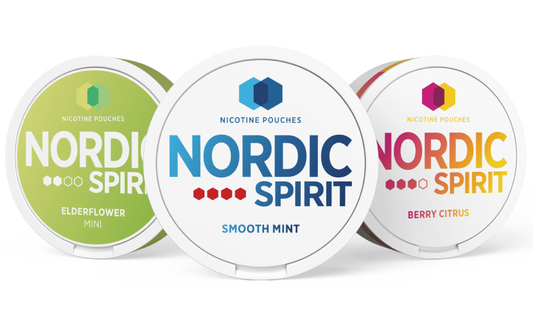 Nordic Sprit Group image