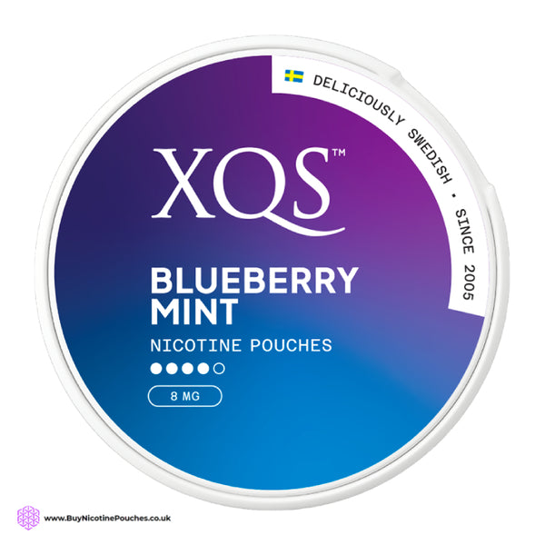 Blueberry Mint Nicotine Pouches by XQS 8MG
