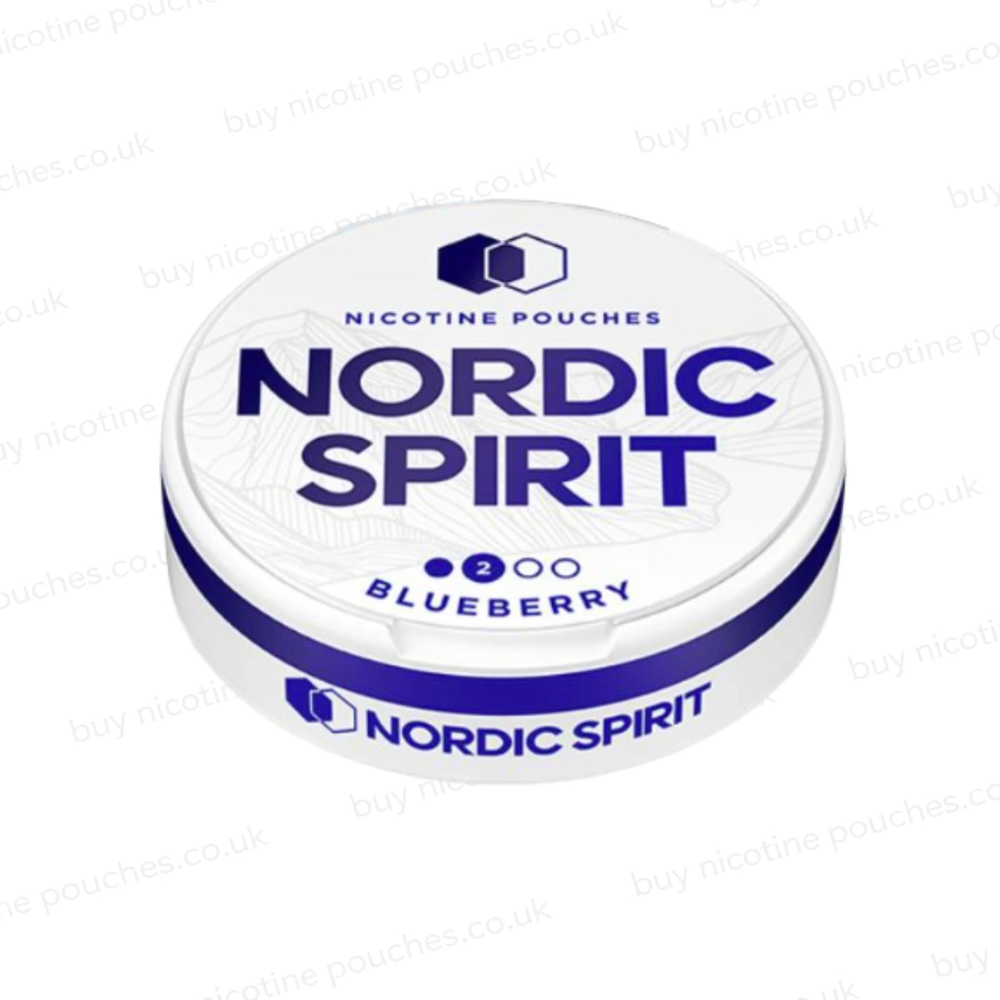 Nordic Spirit Blueberry Nicotine Pouches