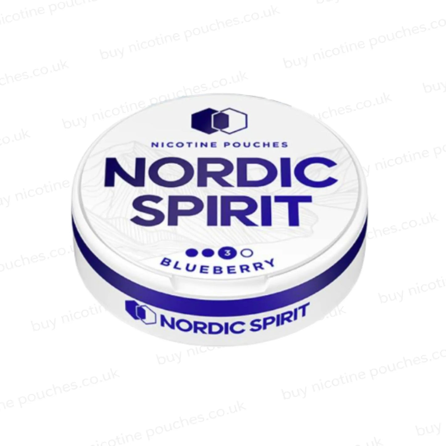 Nordic Spirit Blueberry Nicotine Pouches