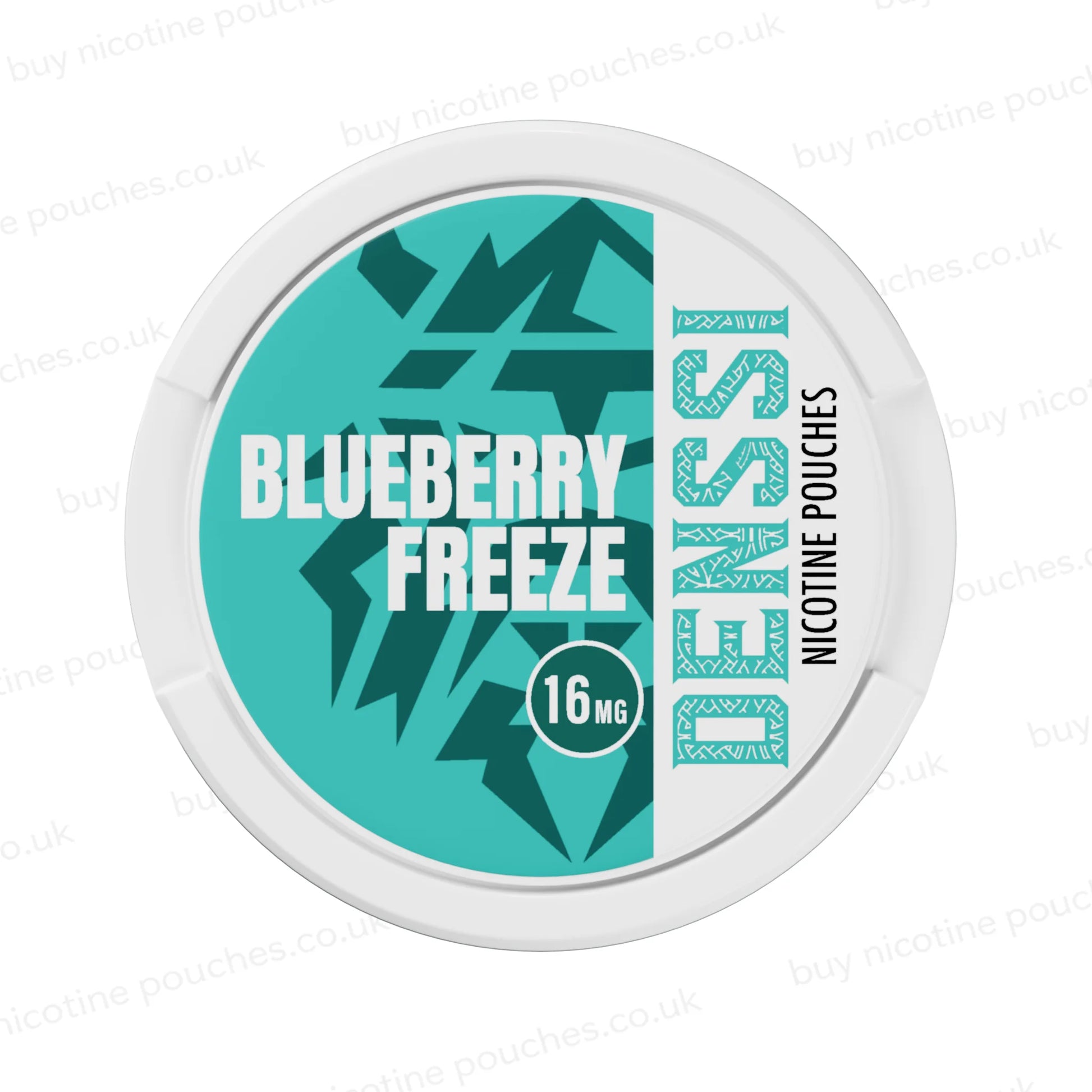 DENSSI Blueberry Freeze Nicotine Pouches 16MG