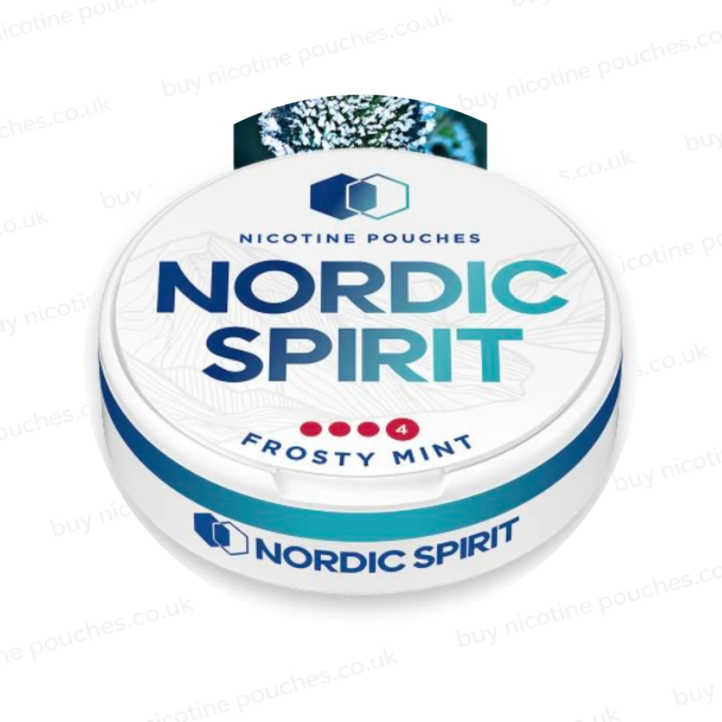 Frosty Mint Nicotine Pouches by Nordic Spirit