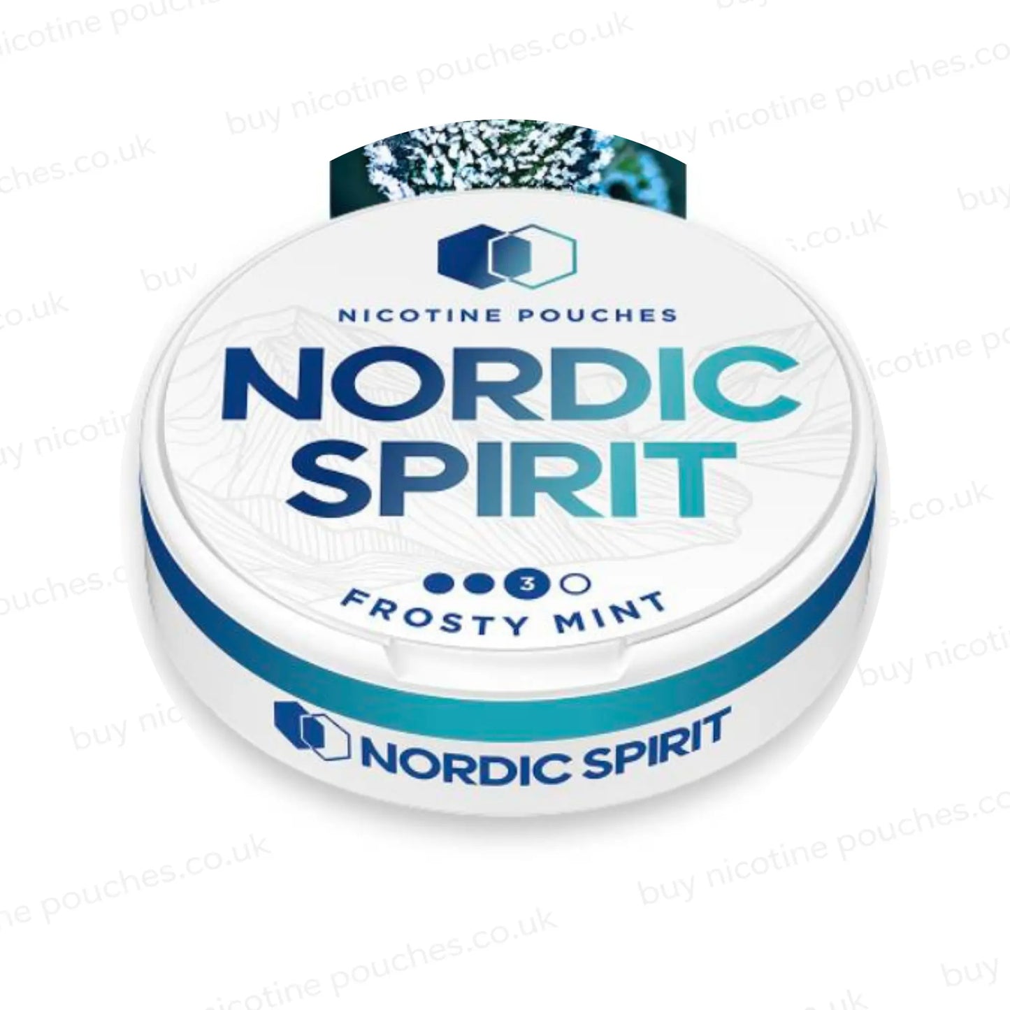 Frosty Mint Nicotine Pouches by Nordic Spirit