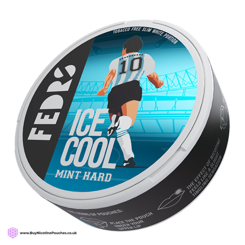 Ice Cool Mint Nicotine Pouches by FEDRS 65MG