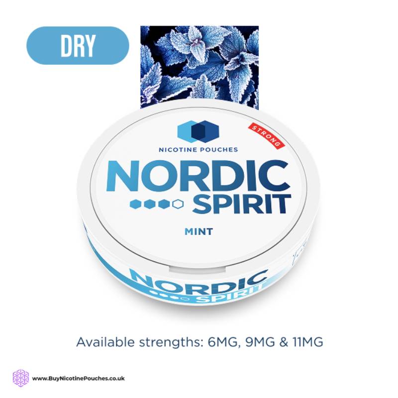 Mint Nicotine Pouches By Nordic Spirit 3Dot
