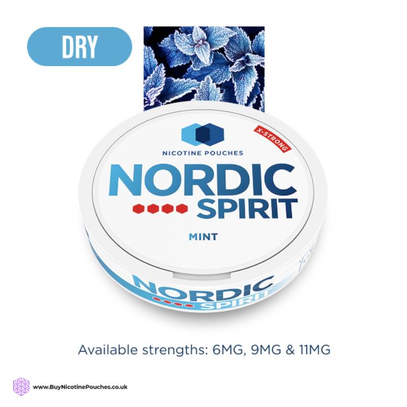 Mint Nicotine Pouches By Nordic Spirit 4Dot