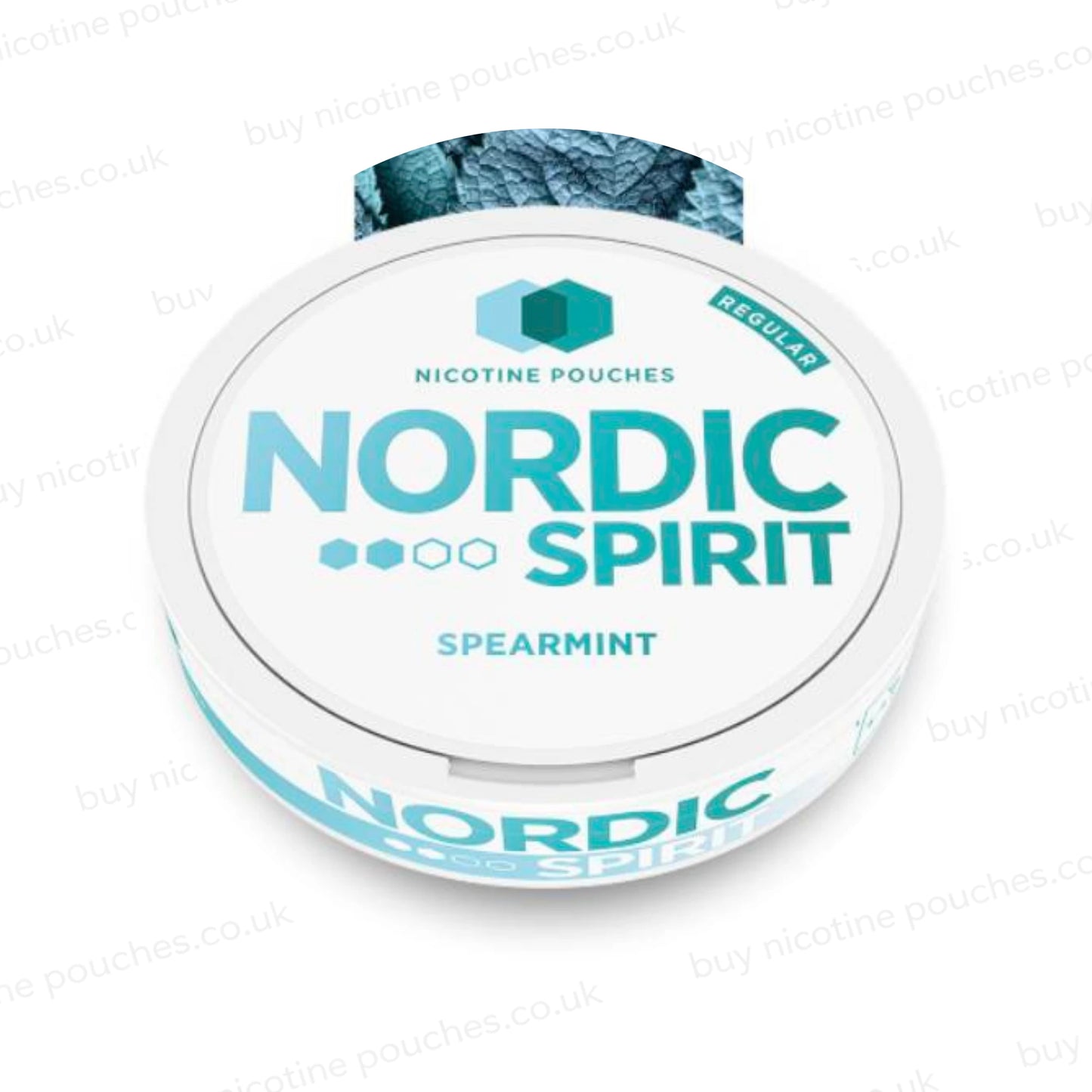 Spearmint Nicotine Pouches by Nordic Spirit