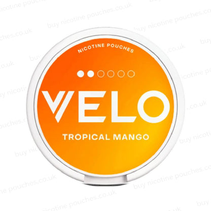 Tropical Mango Nicotine Pouches by Velo