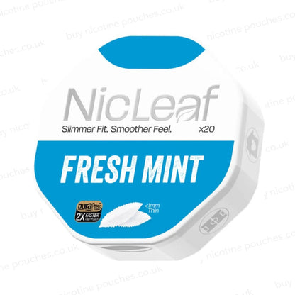 Angled shot of a nicotine pouch container with NicLeaf Fresh Mint branding on a white background.