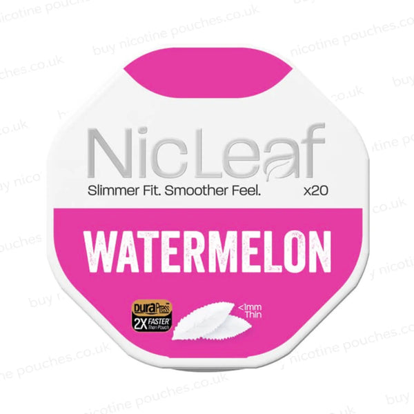 Nicotine pouch container with NicLeaf Watermelon branding on a white background.