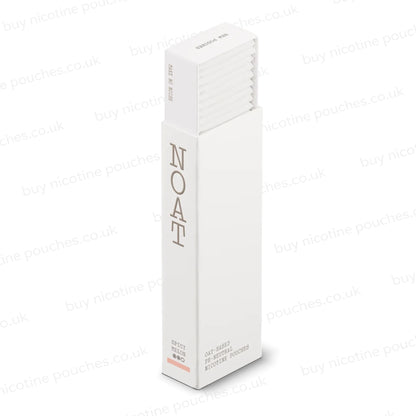 Noat Spicy Melon Nicotine Pouches side