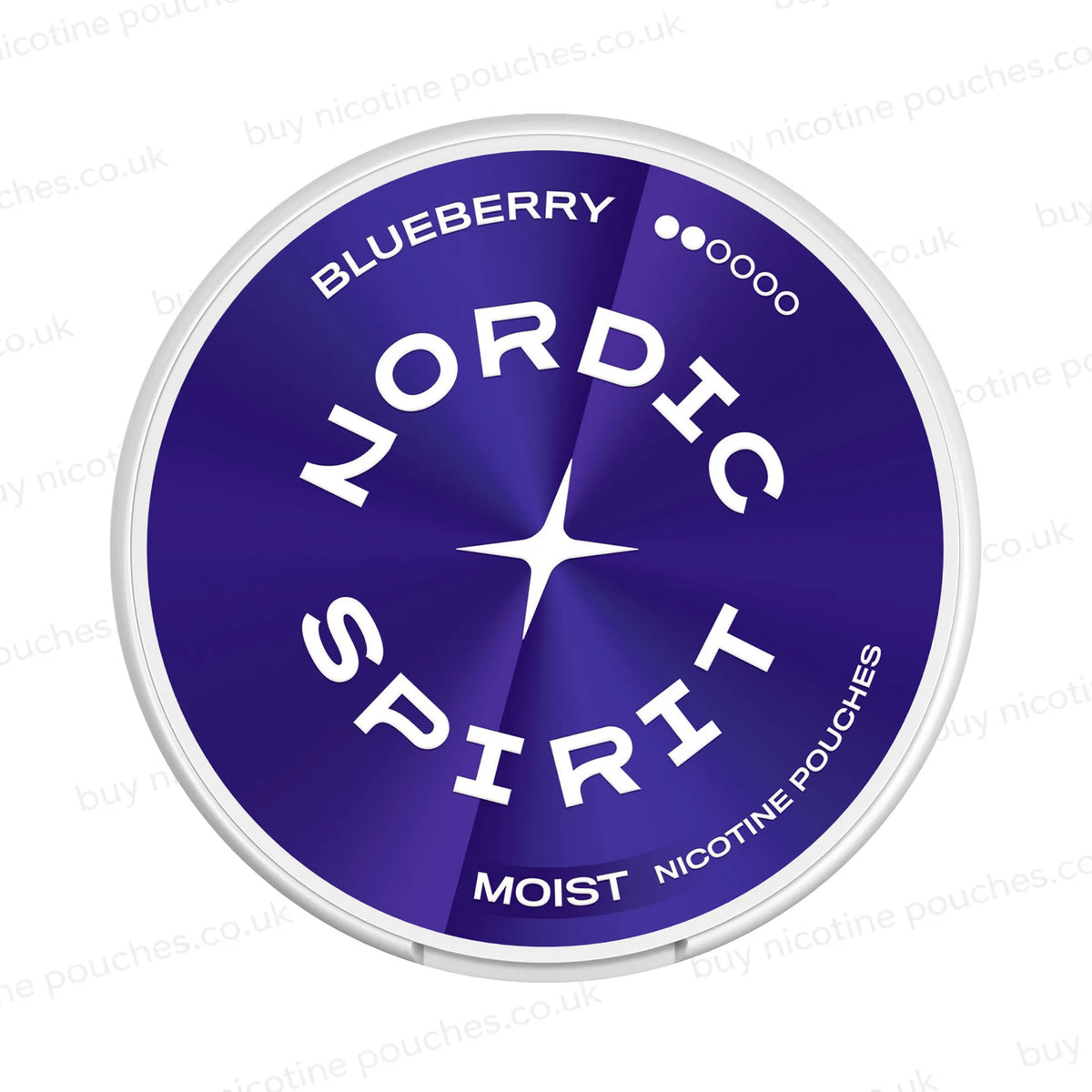 White nicotine pouch container with blue Nordic Spirit Blueberry 2 Dot branding on a white background.