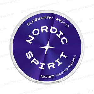 White nicotine pouch container with blue Nordic Spirit Blueberry 2 Dot branding on a white background.