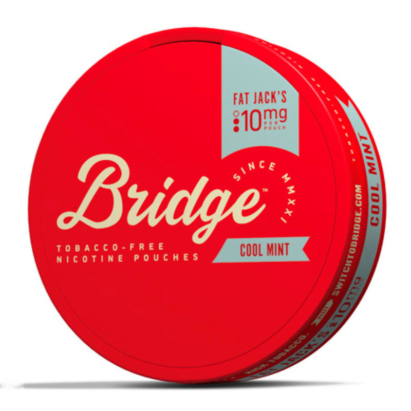 Cool Mint Nicotine Pouches by Bridge 10MG